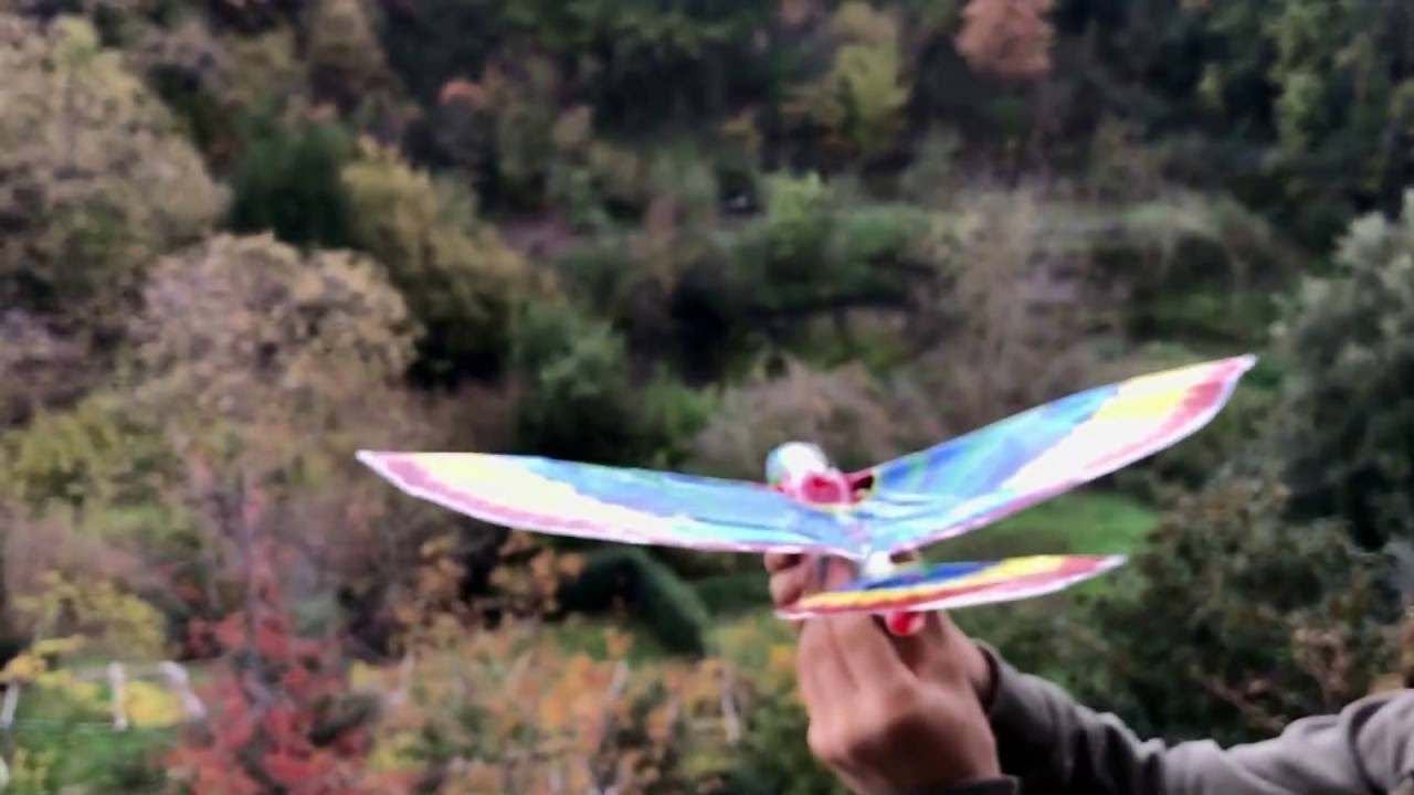 Uccello che vola elastico a molla Tim Bird Originale Uccello volante YouTube Uccello che vola elastico a molla Tim Bird Originale Uccello volante YouTube
