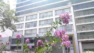 7月紫薇開花1040709