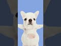 PIBBLE☠️ #memes #butifyoucloseyoureyes #tpot #edit #edit #bfb #bfdi