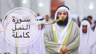 سورة النمل كاملة :: القارئ / فهد المطيري :: تلاوة خاشعة من صلاة التراويح