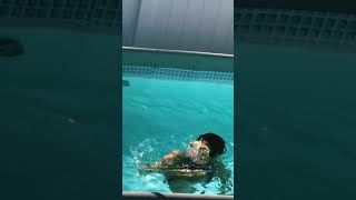 My Sweetheart Learned To Swim On Her Own swimwearlittlebabymyheart