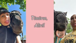 Tömören, Aliról ❤️ | 𝐻𝐴𝑙𝑖