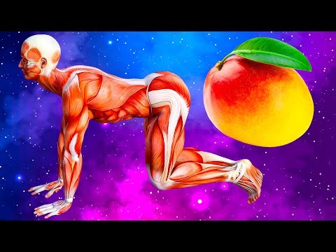 Điều gì xảy ra khi mỗi ngày bạn ăn một quả xoài