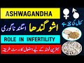 Ashwagandha Benefits For Infertility |Asgandh Nagori Benefits |Ashwagandha ke Fayde |Fertility