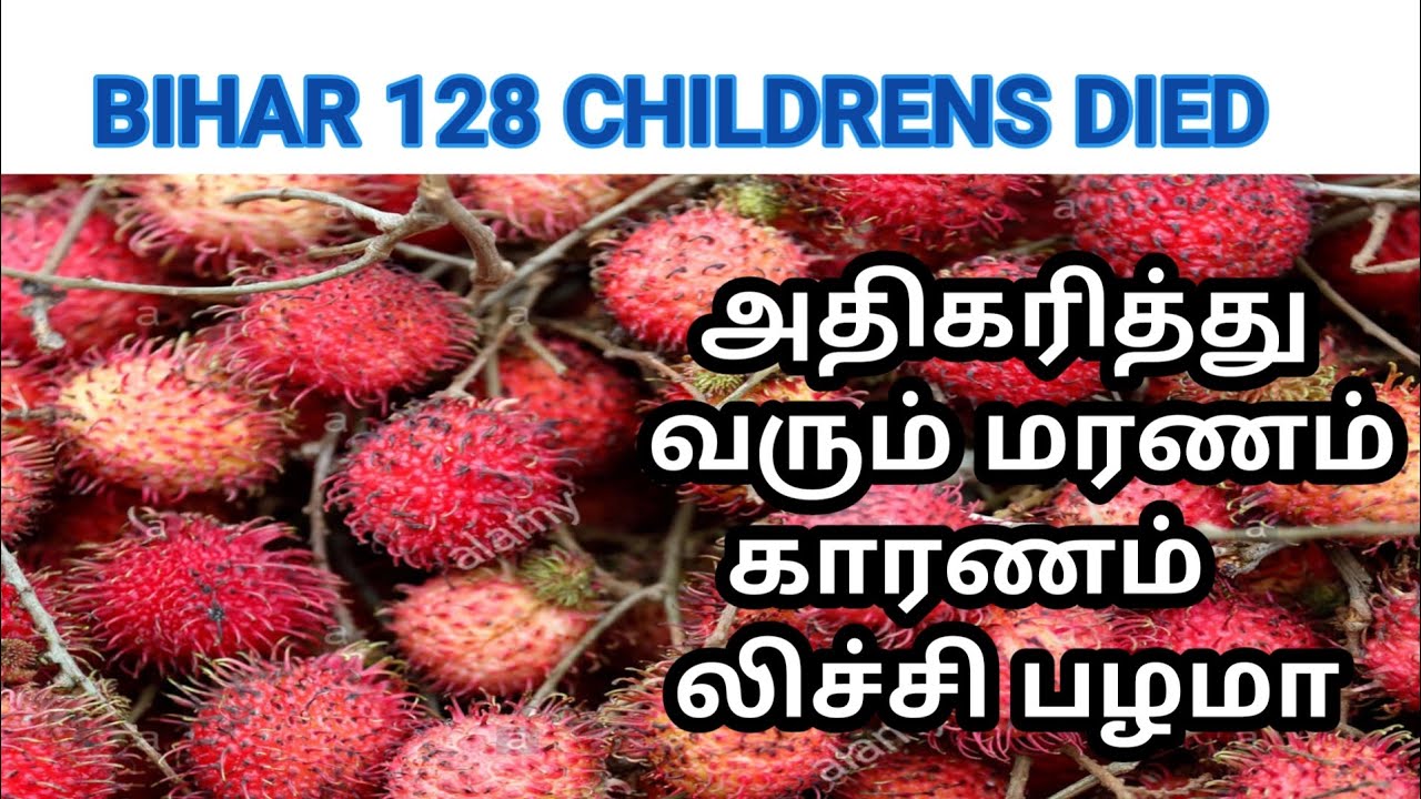 150 Childrens Were died in BIHAR | LICHI FRUIT DEAD | BRAIN TUMOUR DEAD | Tamilscope official