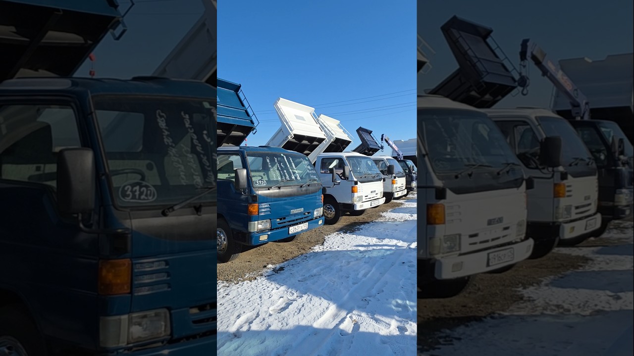 Японские грузовики на авторынке Уссурийска ЦЕНЫ