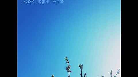 Nelly Furtado - Say It Right (Mass Digital Remix)