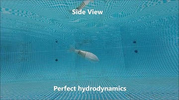 Robot fish with active and compliant propulsion mechanism