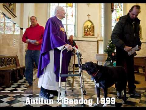 Bandog Antifun.wmv