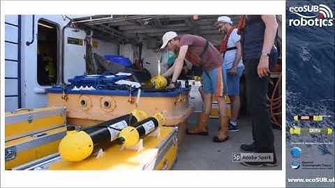 Introduction to ecoSUB AUVs