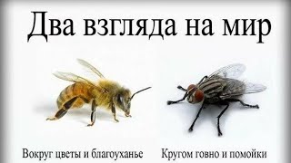 Притча 30 Ведро с яблоками.  Отличная ироничная притча учит благородству. Про : ОБИДУ, ЗАВИСТЬ, СТЫД