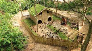 Rescued 200 Duckling And Building The Most Creative Duck House With Swimming Pool