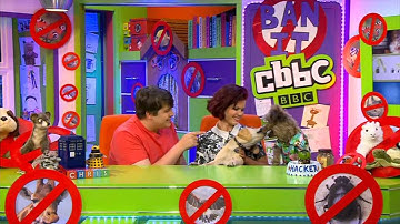 CLIP: 10th July 2014 - Blue Peter