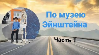 Занимательная физика/ Экскурсия/  Научное шоу