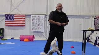 Connecting with dogs, with Eric Salas by Eric Salas Workshops Training Channel 1,199 views 2 months ago 8 minutes, 50 seconds