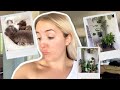 Dayli vlog  update chaton amenagement piece youtube et jardinage