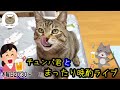 毎週木曜日はチュンパ君と晩酌ライブ（野良ちゃんも来たらやるよ）