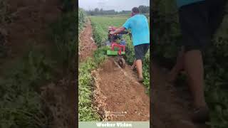Peanut Harvesting With Efficient Machines