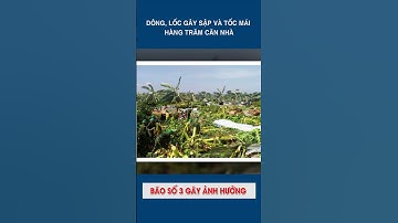 Dông, lốc làm sập và tốc mái hàng trăm căn nhà