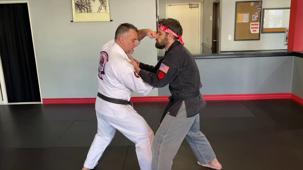 SASDA - Destructive Twins