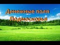 Ранняя Петровская денга, поиск монет в Подмосковье