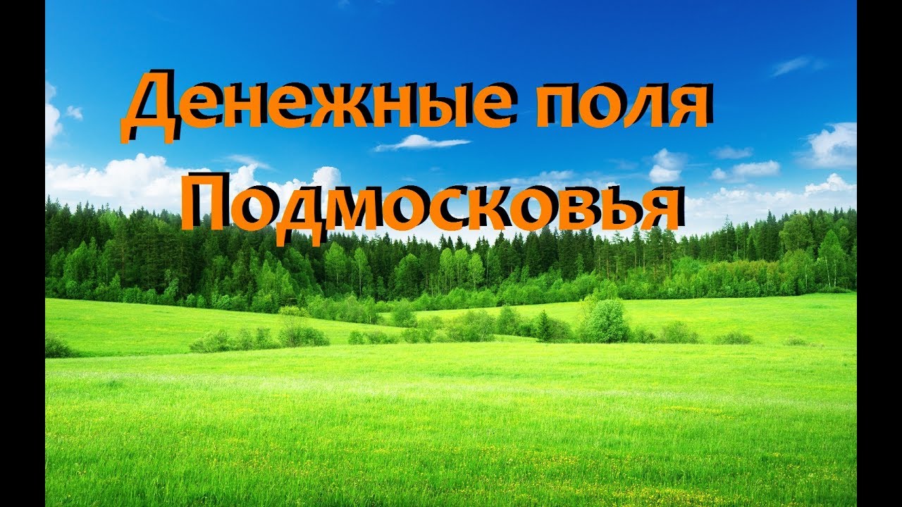 Ранняя Петровская денга, поиск монет в Подмосковье