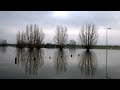 Rheinhochwasser auf Schenkenschanz im Fokus von Aktueller Stunde im WDR