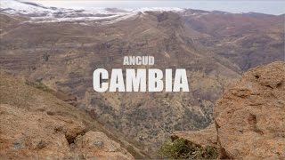 Ancud - Cambia (lyric video)