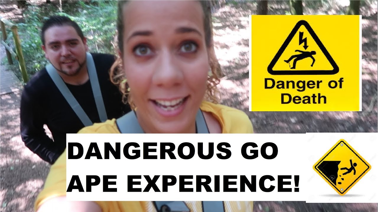 Go Ape Experience- Adventure Vlog -Wendover Woods