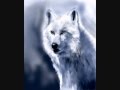 Time Lapse Drawing White Wolf