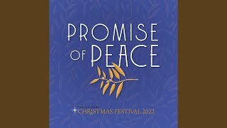 It Came Upon the Midnight Clear - St. Olaf Choir, St. Olaf Orchestra, St. Olaf Chapel, St. Olaf Cantorei, Viking Chorus, Manitou Singers and Chung Park