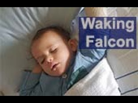 Waking Falcon. An auto-ethnographic film about an emergency during
