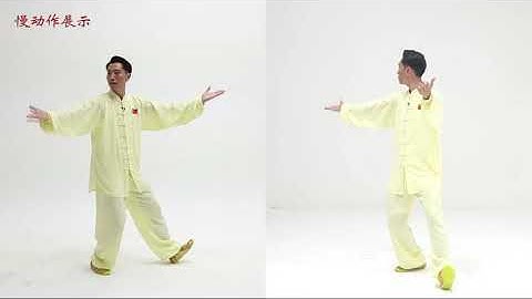 24式太极拳 分解版 第六式：左右倒卷肱(24 Forms Tai Chi - Form 6: Forearm Rollings on Both Sides)