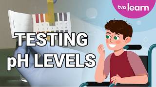 Testing pH Levels 🧪💧| DIY Science Experiments 🧪🔬 | TVO Learn