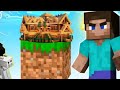 Minecraft one block level up part 5