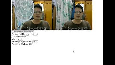TensorFlow.js BodyPix, PoseNet