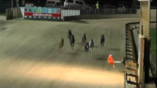 GOSFORD-03032015-RACE-7