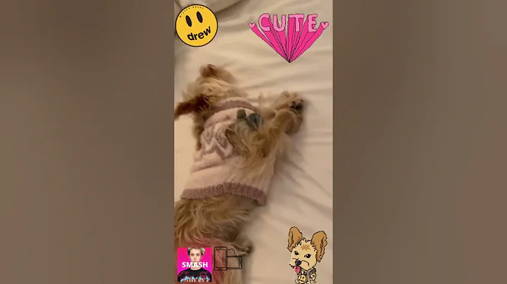 JUSTIN BIEBER NEW INSTAGRAM STORIES VIDEO COMPILATION!