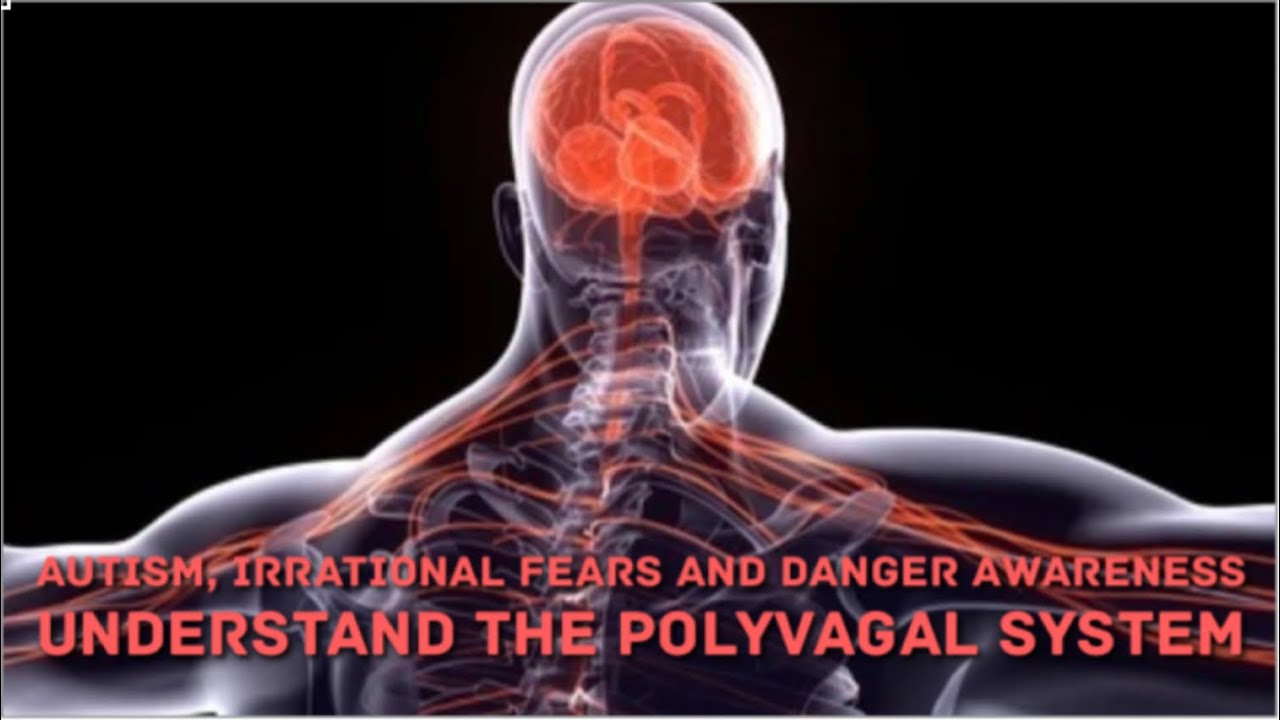 Irrational fears and altered sense of danger - understanding the polyvagal system in Autism and SPD