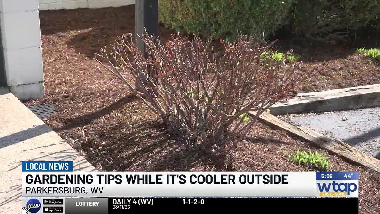 Gardening tips with cooler temperatures and Spring arriving soon - YouTube