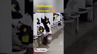 Настоящий мужчина😂👍