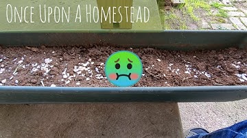 Root Rot!?! Now What?