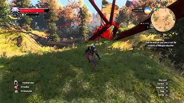 The Witcher 3 Glitch - Rotfiend Fireworks