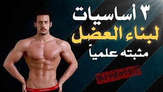 ٣ اساسيات لبناء العضل