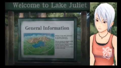 Wii - Another Code R