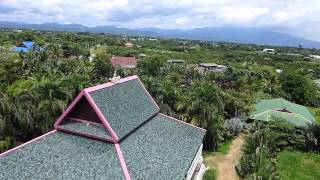 Golden Palms Estate - Chiang Mai