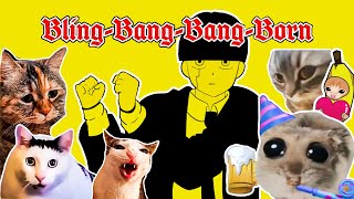 Bling Bang Bang Born x Cat Memes