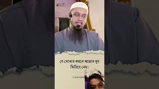 কোন গুনা করলে #experiements #viralvideo #fishing #cat #experimnent #fish #fruit #food #fishcam