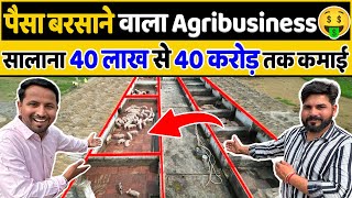 ये Pig Farming नहीं 🐷 ये Paisa Farming है 🤑 || Best Agribusiness Idea || Indian Farmer