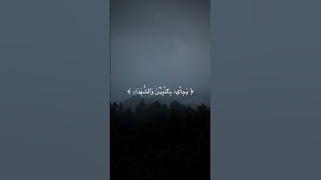 ياسر الدوسري| سورة الزمر اية ٦٨ | #اكسبلور #قرآن #قران_كريم #راحة_نفسية #ياسر_الدوسري